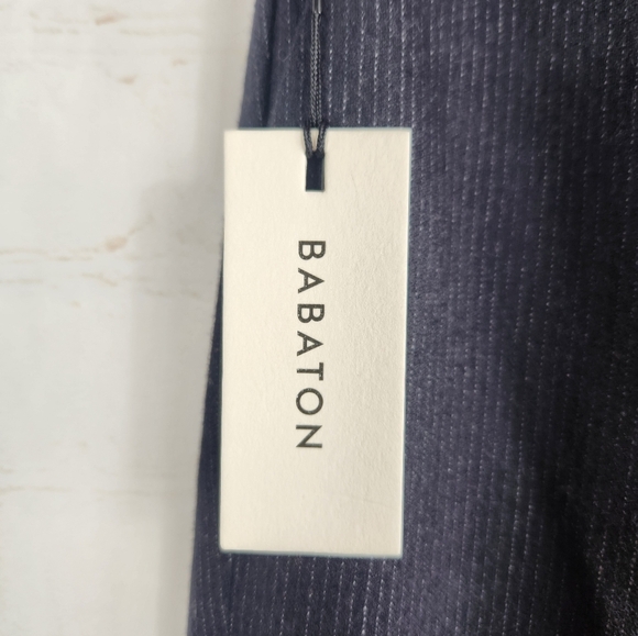 Babaton Conan Atelier Career Wool Cashmere Blend Pants Mini Stripe Navy/Gray 0 - Picture 7 of 12